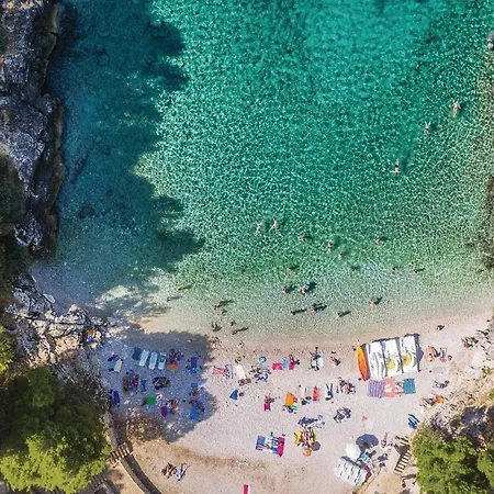 Apartamento Lovely In With Wifi *